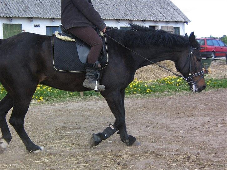 Traver Flax Vesterled billede 5