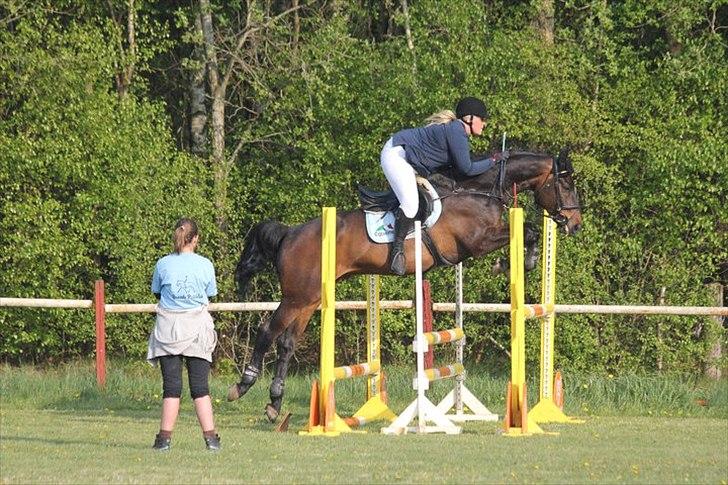 Anden særlig race Knut solgt! - Brande LB*. Foto. Gitte Dahl. billede 8