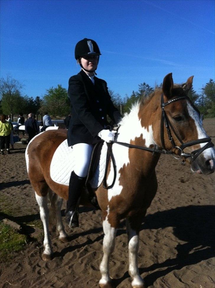 Pinto Balou <3 (elev) - "smiiil" sadge mor! xD billede 17