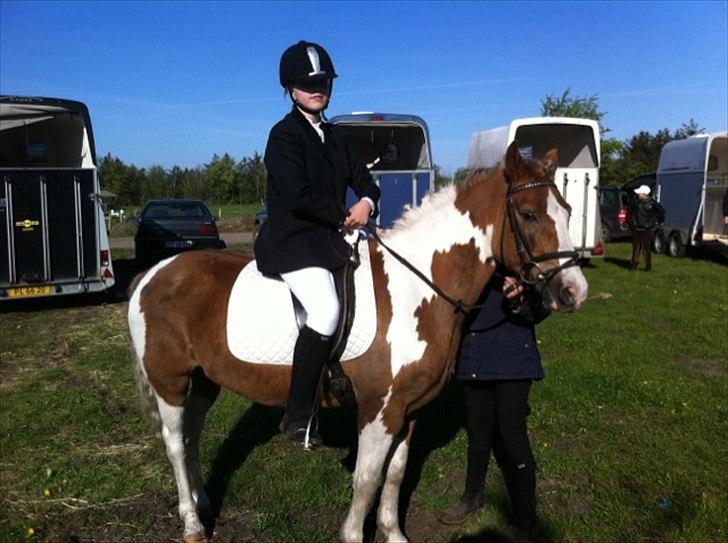 Pinto Balou <3 (elev) - uuuh gør klar til stævne i Varde billede 18