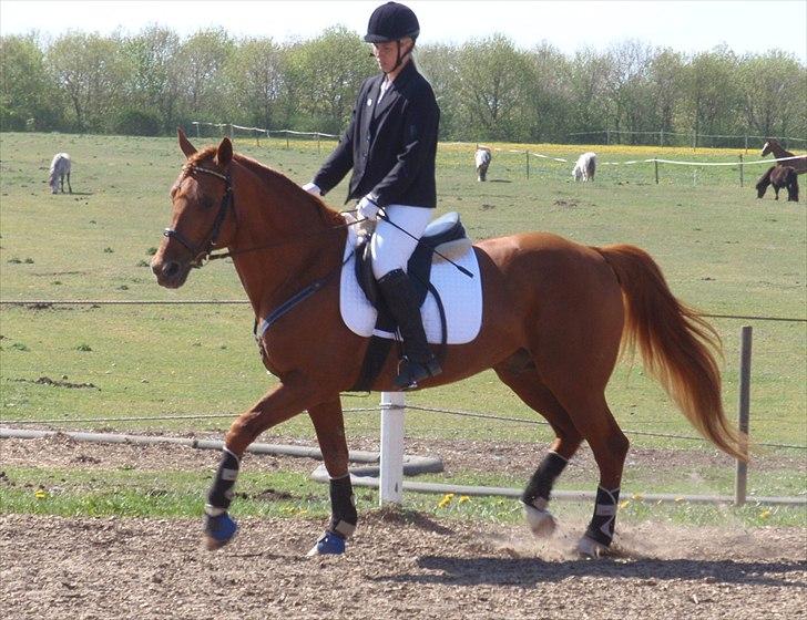 Traver Bounty Toftebjerg - Til opvarmning til Klubstævnet på HHH3 billede 18