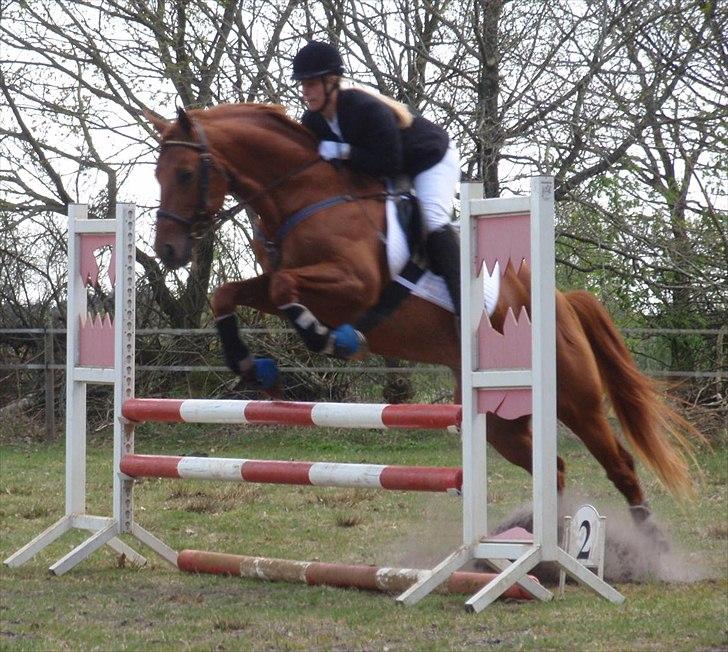 Traver Bounty Toftebjerg - LD Klubmesterskab, 2 plads. billede 19