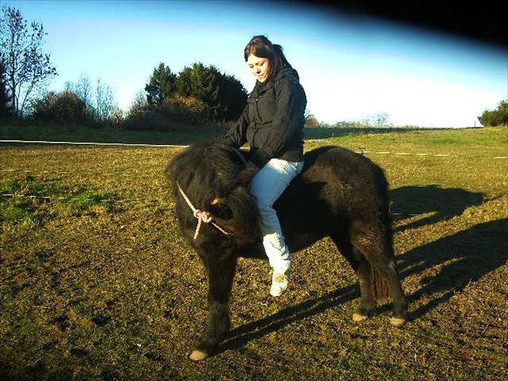 Anden særlig race Debbi ..  - Mon de sko er noget man kan spise? billede 2