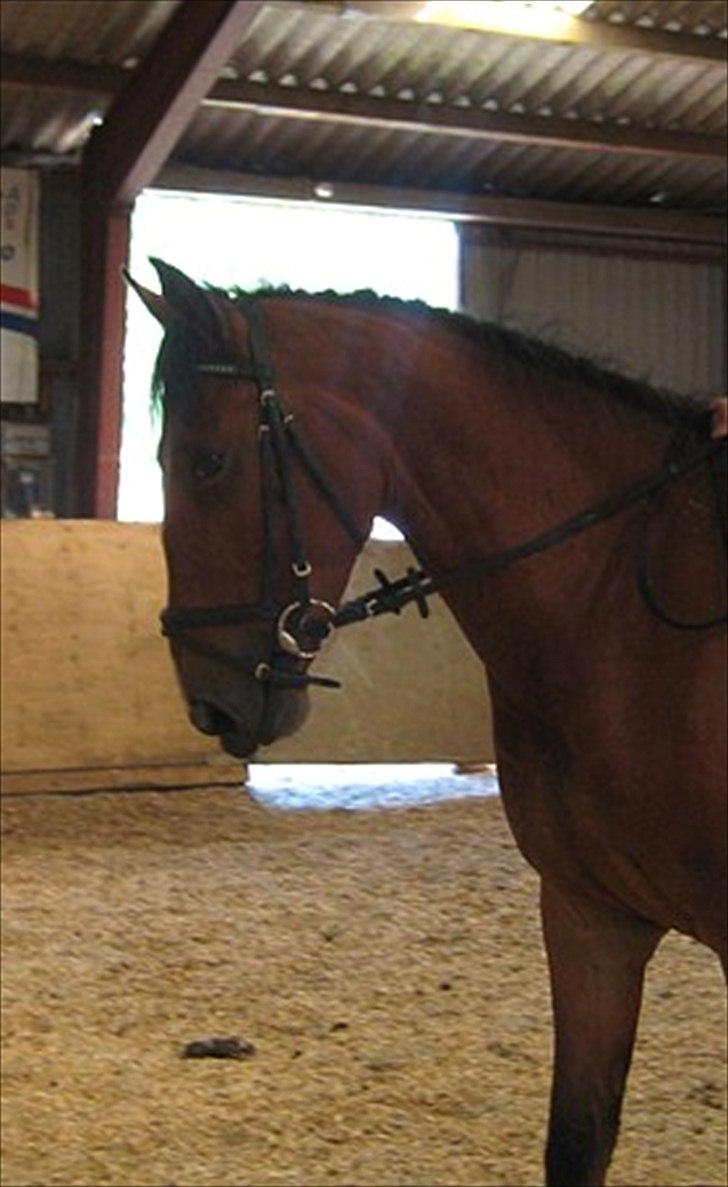 Anden særlig race Pick Pack - Billede fra Kia  billede 4