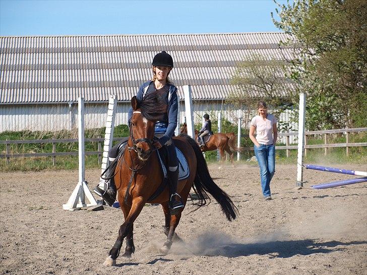 Anden særlig race Sultan fra Højbo, world greatest! <3 billede 6