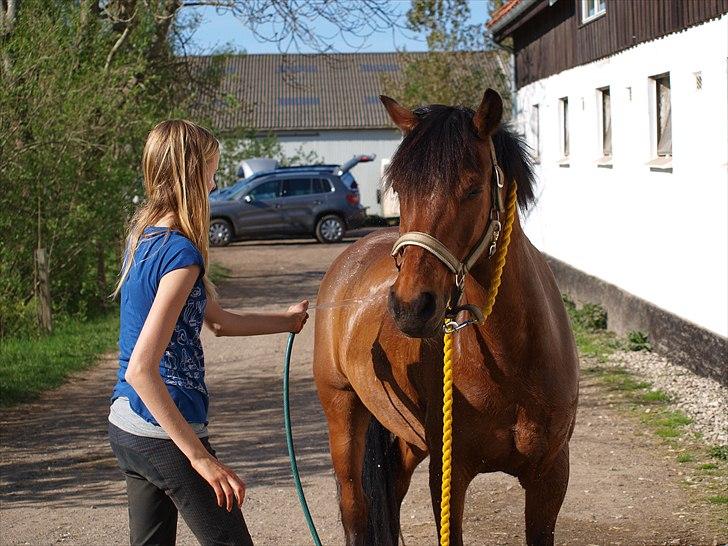 Anden særlig race Sultan fra Højbo, world greatest! <3 billede 8