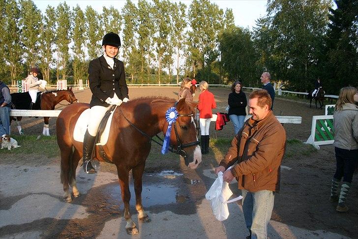 Anden særlig race Firebird       {SOLGT!} - Sidste stævne.. billede 17
