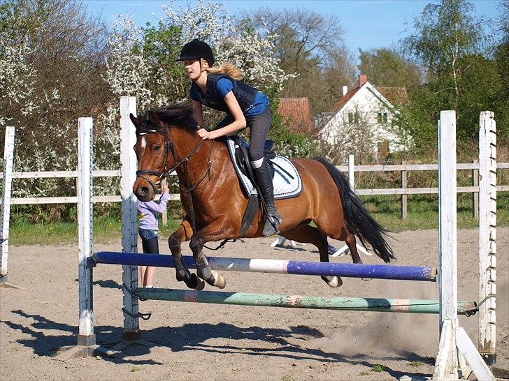 Anden særlig race Sultan fra Højbo, world greatest! <3 - Lad ikke dine drømme bare være drømme, men gør dem til virkelighed billede 15