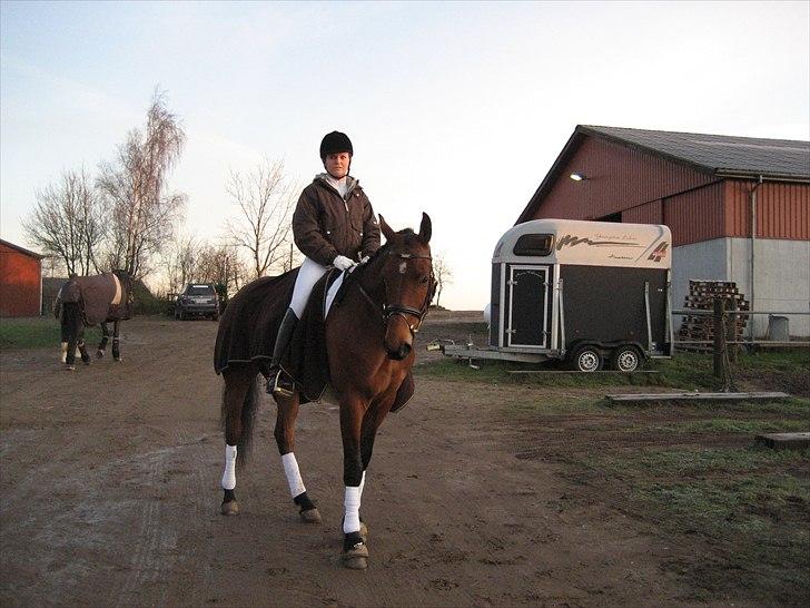 Dansk Varmblod Magic Dancer - Stævne 2008 :P billede 11