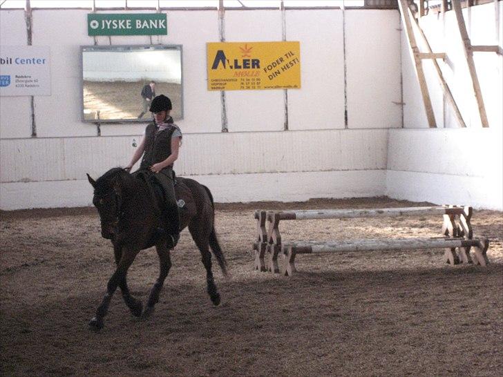 Dansk Varmblod Magic Dancer - Træning oktober 2007 (: billede 15