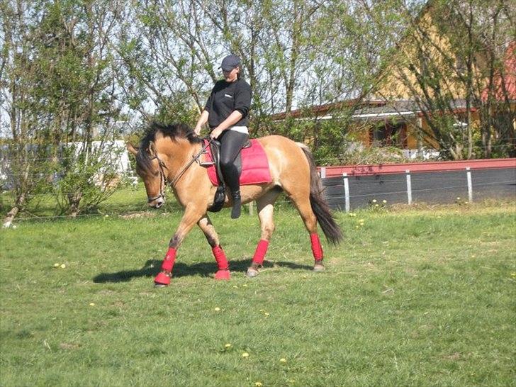 Anden særlig race Amanda'musen <3  billede 5