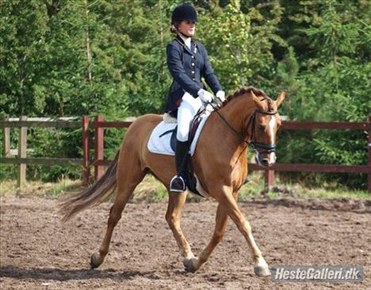 Anden særlig race Egeballes Rafael (Ralle) - Det her er Ralle og hans gamle ejer Line billede 4