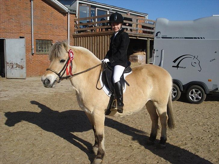 Fjordhest Line (-': - 2• Line og mig til vores andet ude stævne med vores anden fælles roset! :D   -Taget d. 27/3-2011   [Foto: Far] billede 2