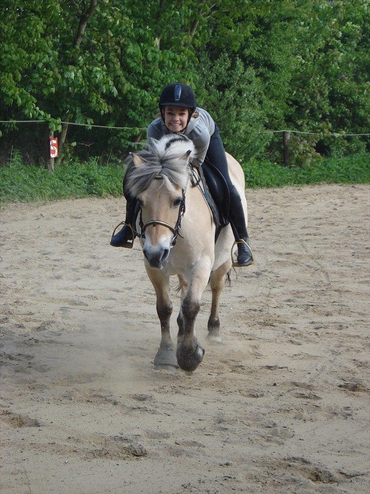 Fjordhest Line (-': - 4• Du er bare min redning<3 Du gi´r mig mod til at forsætte<3   -Taget d. 12/05-2010 [Foto: Mor] billede 4