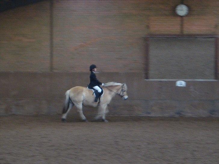 Fjordhest Line (-': - 5• Line og mig inde på banen, undskyld kvaliteten ..   -Taget d. 6/2-2011 [Foto: Far] billede 5