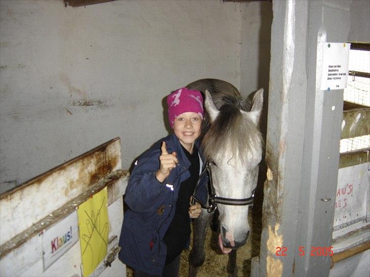 Anden særlig race Klaus  - Velkommen til Klaus´s profil :-D billede 1