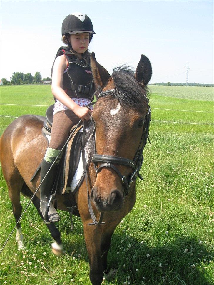 Tysk Sportspony Candy - den første gang jeg rider på candy:-) billede 11