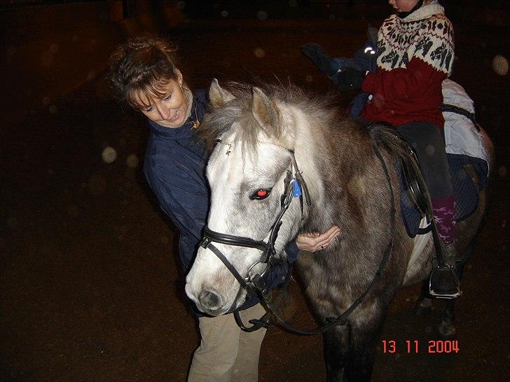 Anden særlig race Klaus  billede 6