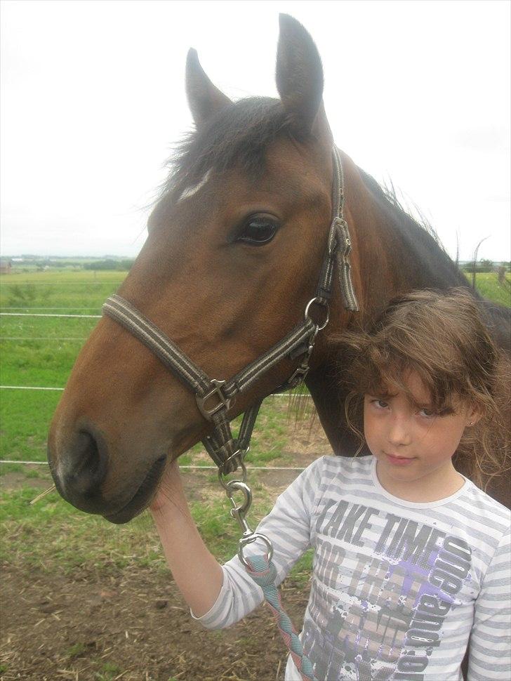 Tysk Sportspony Candy - mig og candy billede 13