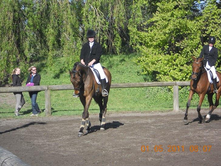 Dansk Varmblod Rts- Caligula - Caligula og jeg til stævne på AGR d. 1 Maj 2011 billede 7