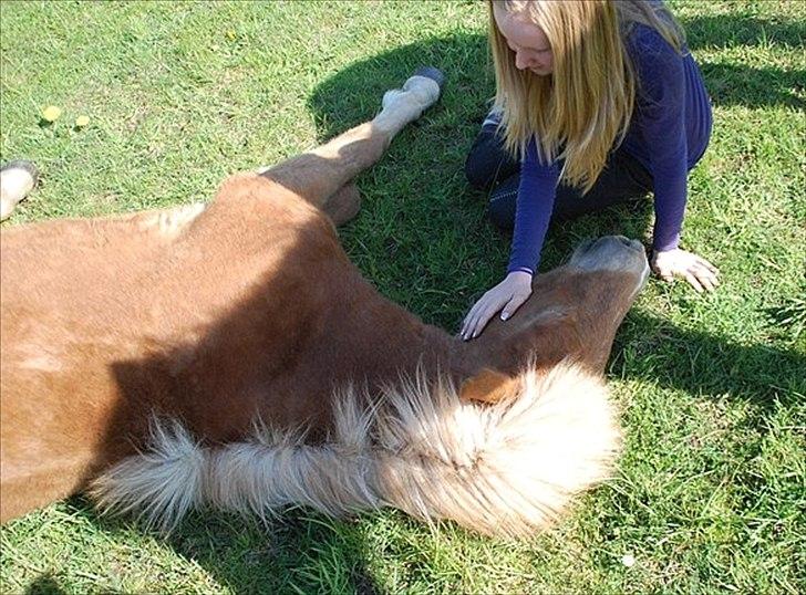 Islænder Gossi fra Tranten<3 - nuhh jeg kan gøre alt ved dig<3;P billede 9