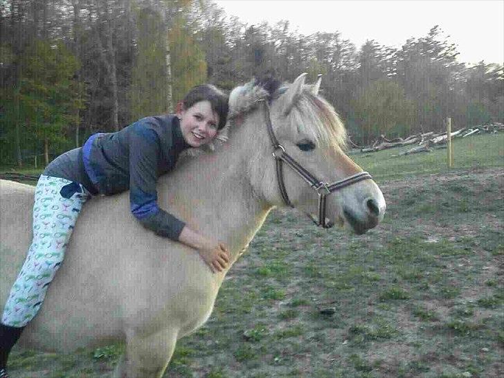 Fjordhest Lady.! "part" - du er sååå fantastisk.!<3<3<3 ;´* billede 11