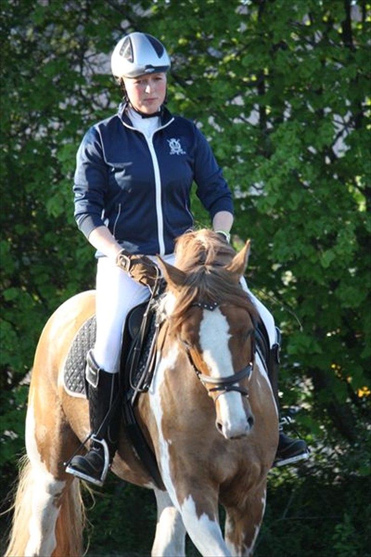 Pinto GP Don Chico Højgård. - Hvor er han bare dejlig at ride. kan rigtig godt lide det billede her fra d 30-04-2011 billede 12