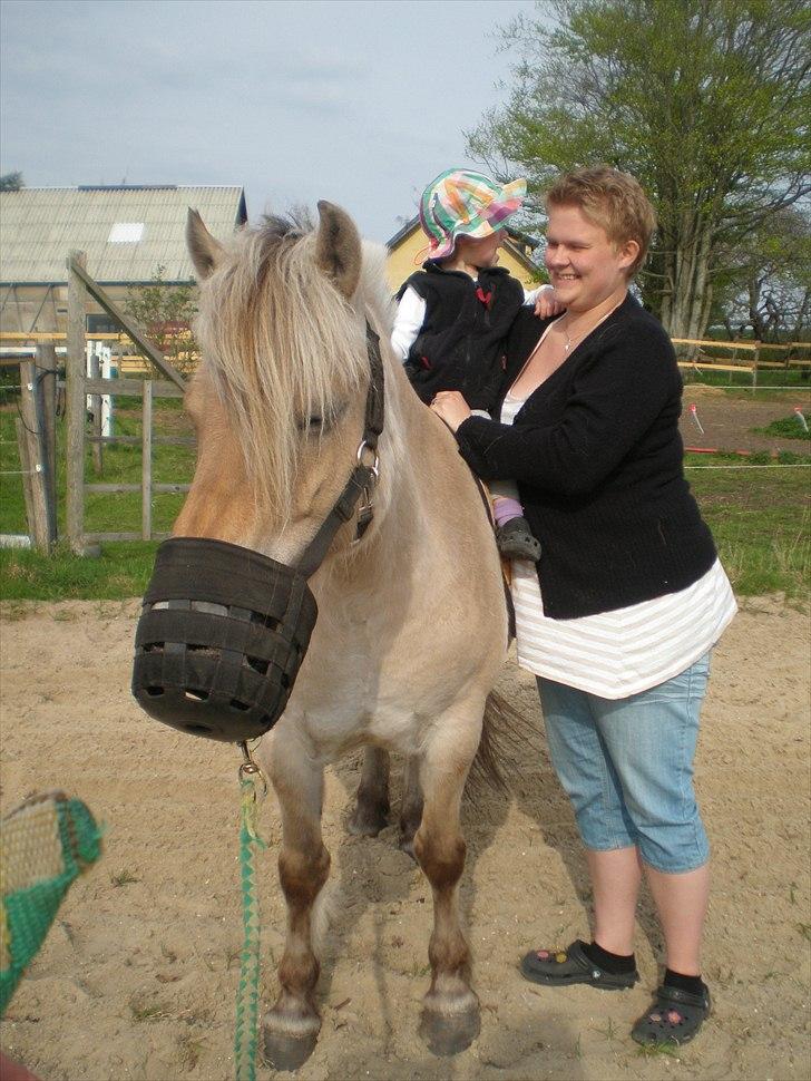 Fjordhest Hedegaards Cesillie  - Se jeg har fået ny rytter. En ny rytter generation... Og hun er bare sød da hun altid har brød med.. billede 14