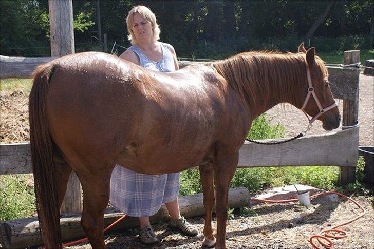 Anden særlig race Skovlundegaards Bambine - 20100718 Bambine på Redstone Ranch billede 6