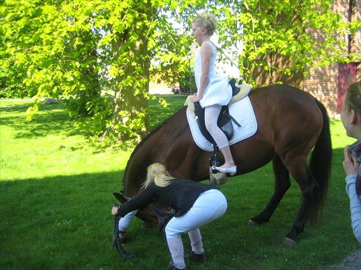 Anden særlig race Shania *part* - haha, Shania nejer med mig på ;P billede 13