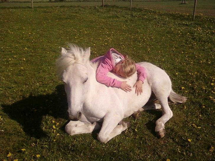 Welsh Pony (sec B) Balou - Mig og Balou hygger billede 2
