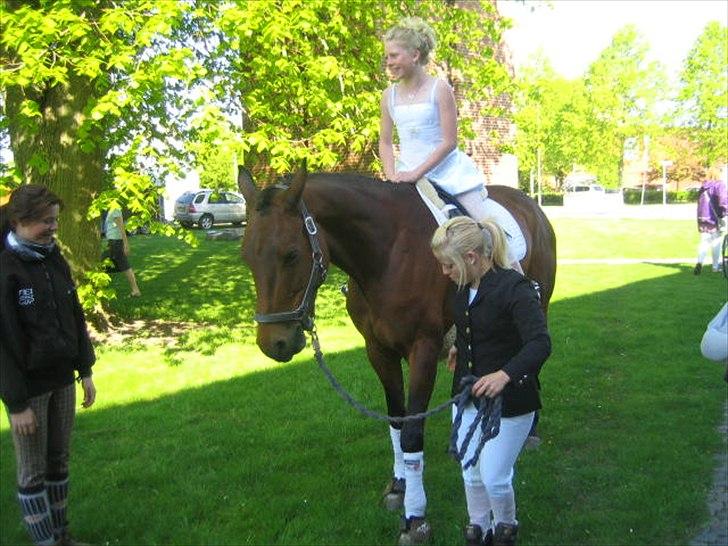 Anden særlig race Shania *part* - <3  fotograf: Mor :) billede 15