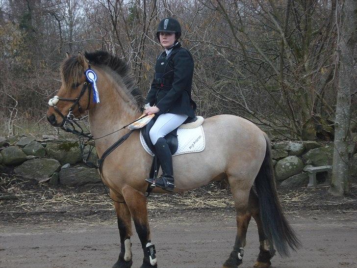 Anden særlig race Åbygårds Tornado*solgt* - Stævne i ringsted, Lb blev til en fin 2 plads (: billede 4