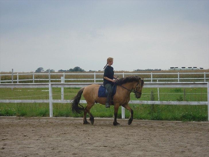 Anden særlig race Åbygårds Tornado*solgt* - Tornado og Line tar lige en ridetur (: billede 6