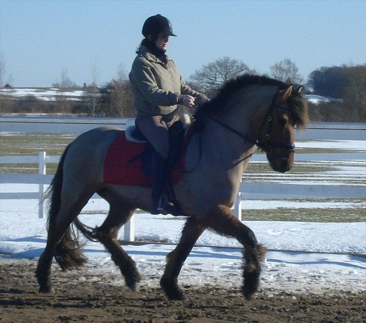 Anden særlig race Åbygårds Tornado*solgt* - Mig og Tornado marts 2010 (: billede 14