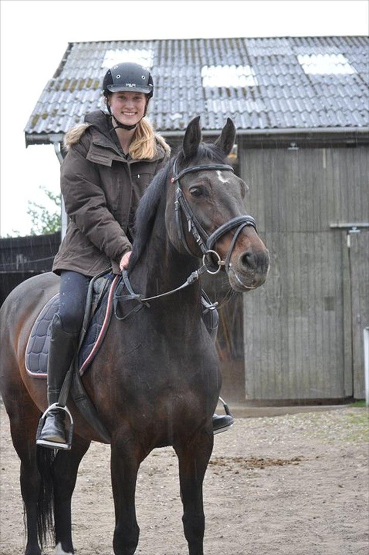 Anden særlig race Lux Liberty - Part - Du er lidt smuk<3 billede 3