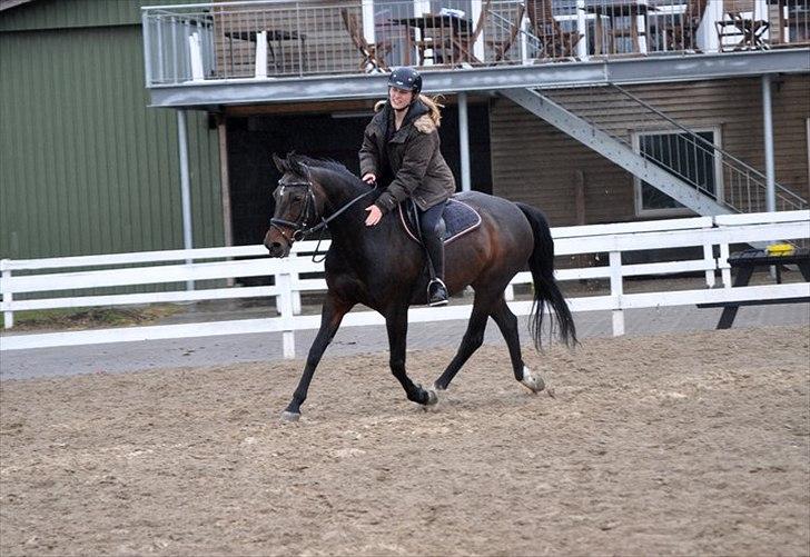 Anden særlig race Lux Liberty - Part - Sådan slutter vi <3

Tak fordi du kiggede forbi! billede 10