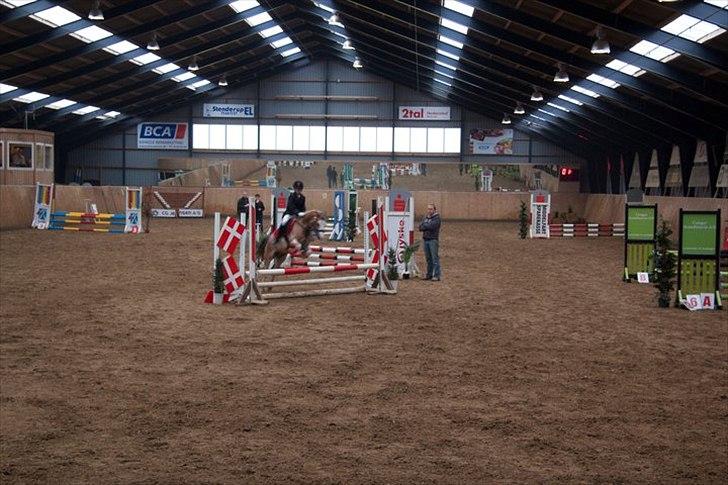 Welsh Pony (sec B) Teggi (SOLGT) - mig og mor i første LB men mor faldt af på det spring med et 2 tal på så var hun lidt sur på mig billede 8