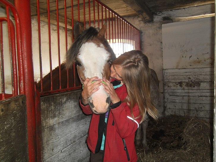 Welsh Pony (sec B) Teggi (SOLGT) - ader bader mor hold så op det er pinligt billede 14