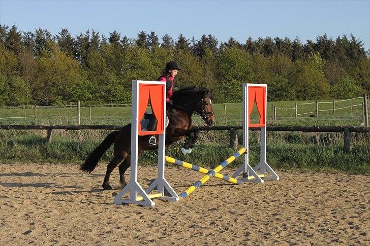 Anden særlig race Nemo - Wii! billede 18