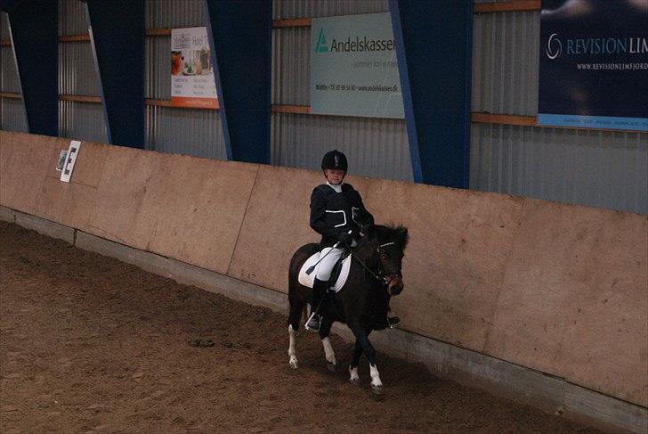 Anden særlig race Tøsen - Perfekte!<3 billede 12