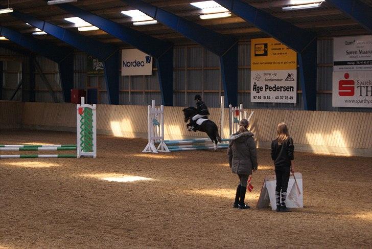 Anden særlig race Tøsen - Perfekte!<3 - Fejlfri!:-) billede 10