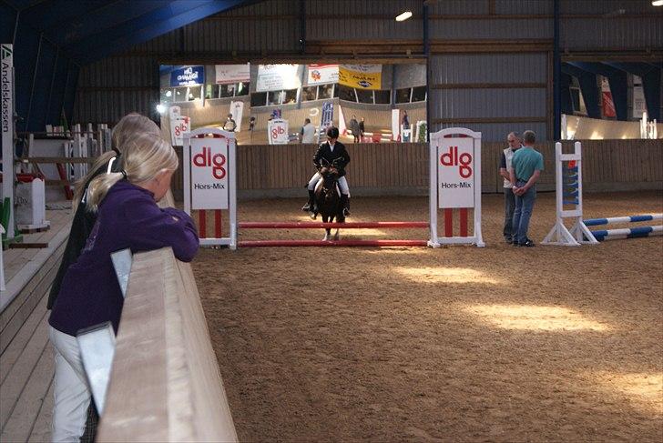 Anden særlig race Tøsen - Perfekte!<3 billede 11