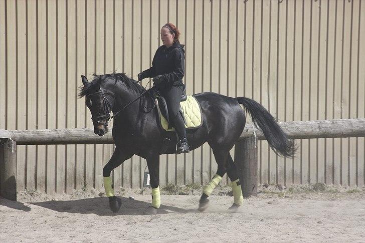 Oldenborg Maybe  billede 8