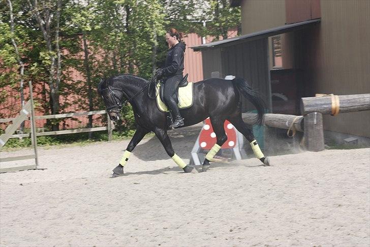 Oldenborg Maybe  billede 9