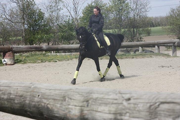 Oldenborg Maybe  billede 10