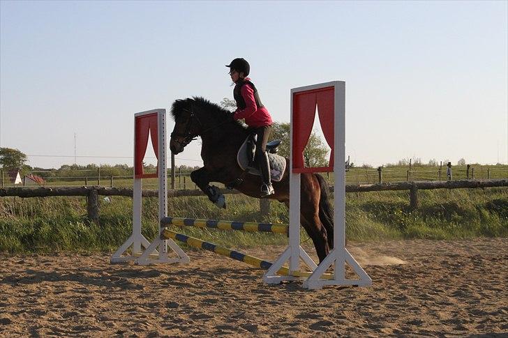 Anden særlig race Nemo - :D billede 15