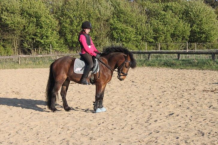 Anden særlig race Nemo - Fine prins  billede 19