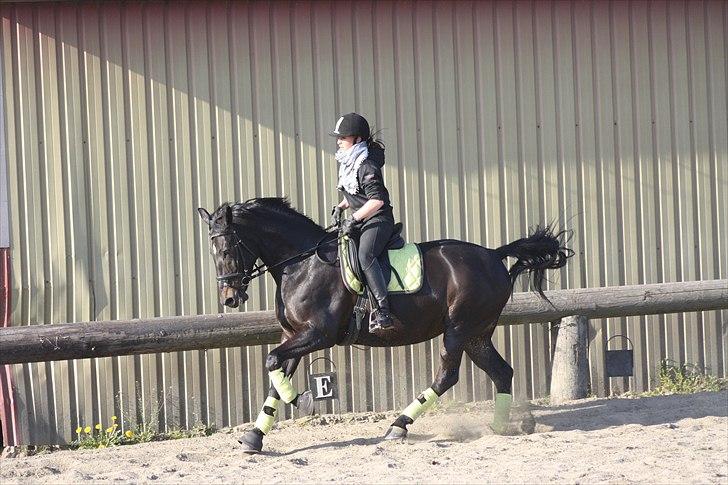 Oldenborg Maybe  billede 11