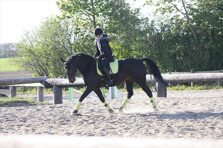 Oldenborg Maybe  billede 12